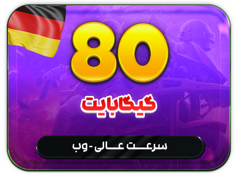 سرویس پینگ و ریجستر عالی (آلمان)  حجم 80 گیگ